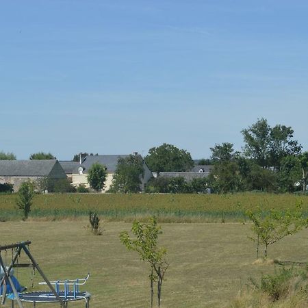 Gite Dans Le Vignoble De Bourgueil Le Port Boulet Exterior foto